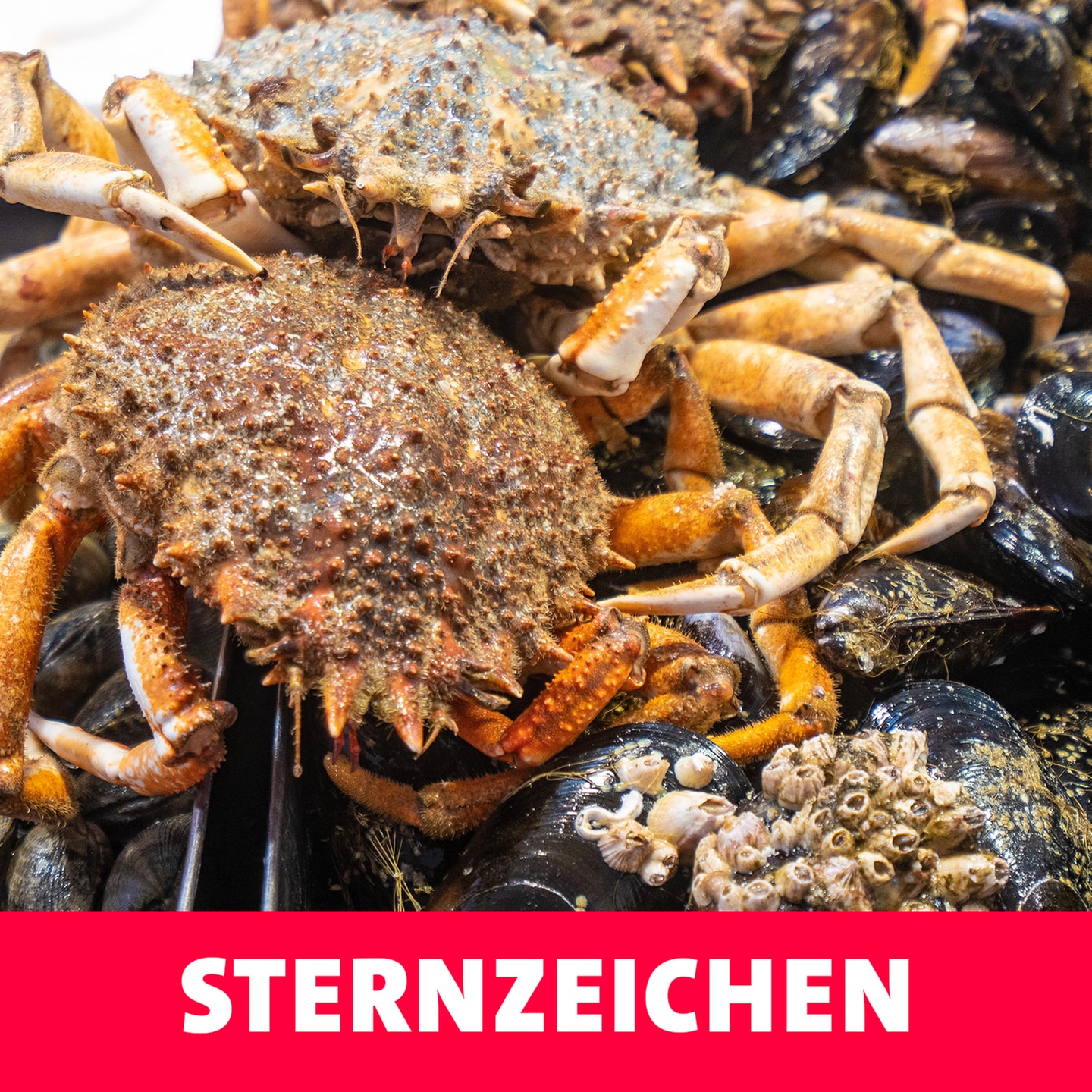 Sternzeichen – Astrologie episode artwork