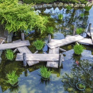 Ein Tipp für ein Ausflugsziel in RLP: Der Japanische Garten mit seiner Zickzackbrücke in Kaiserslautern. 