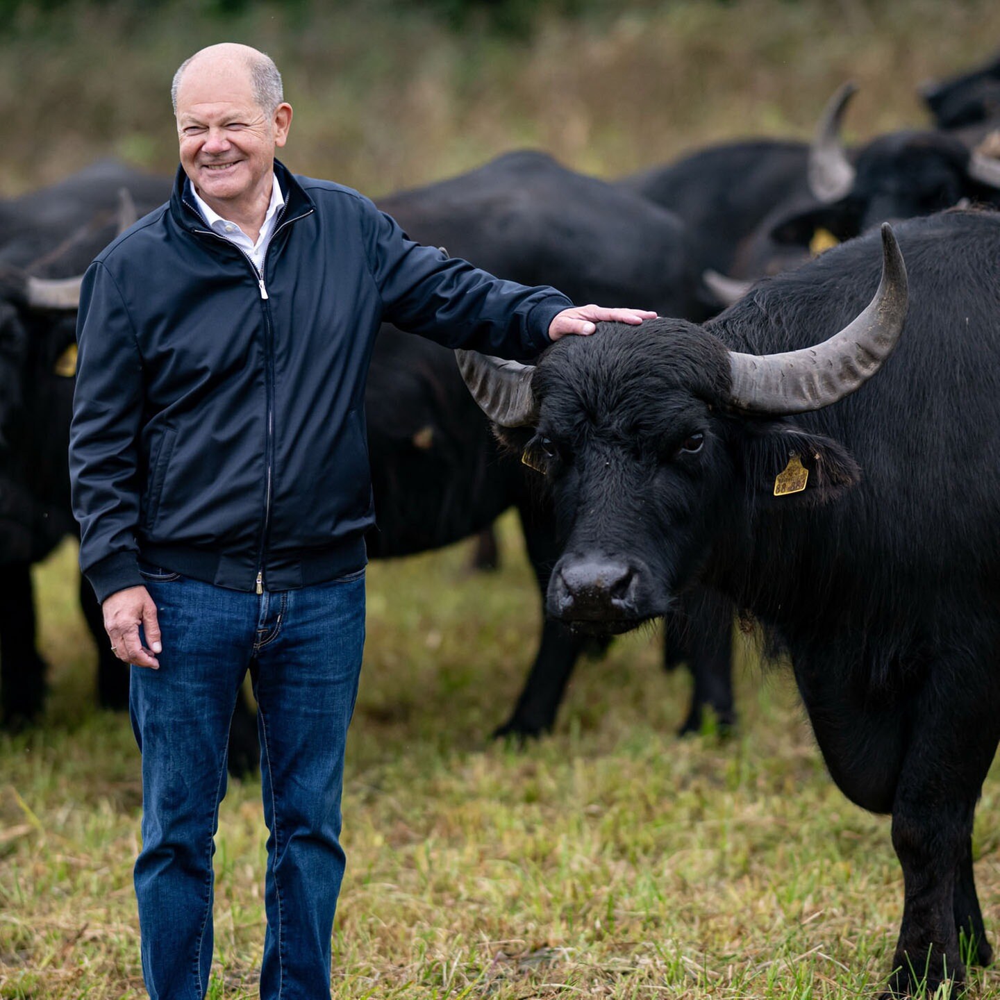 Olaf Scholz bei den Wasserbüffeln episode artwork