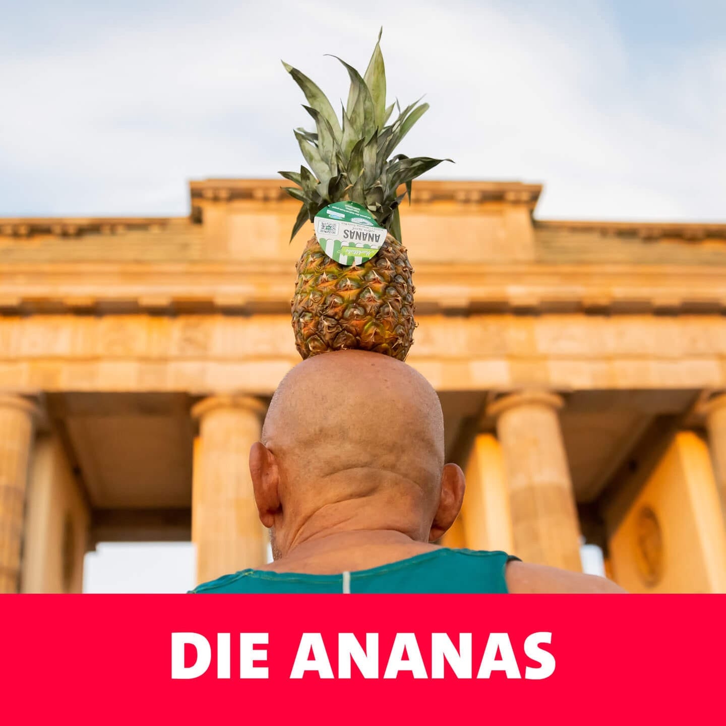 Die ANANAS episode artwork