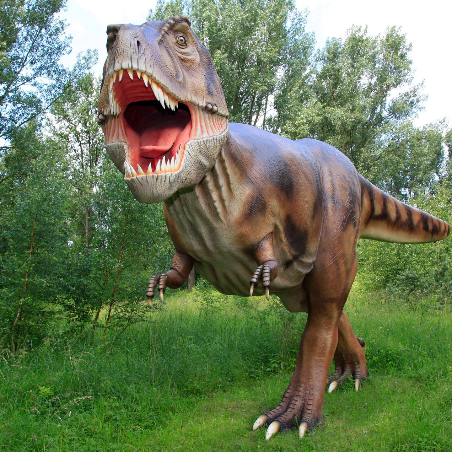 Die Tierdocs: Dinosaurier stinkt episode artwork