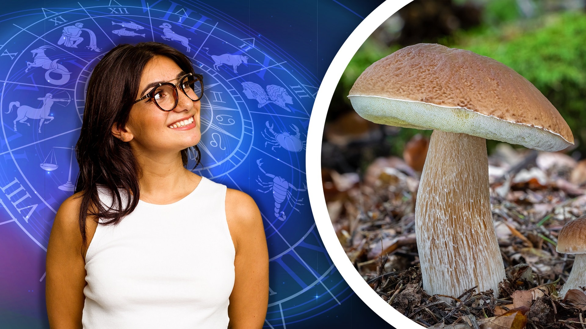 Hier erfährst du im SWR3 Pilz-Horoskop, wie dein Sternzeichen tickt