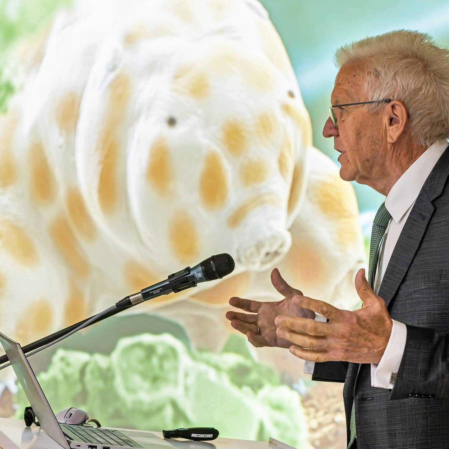 Fragen Sie Kretschmann: Ein Bärtiechen namens Kretschmann episode artwork