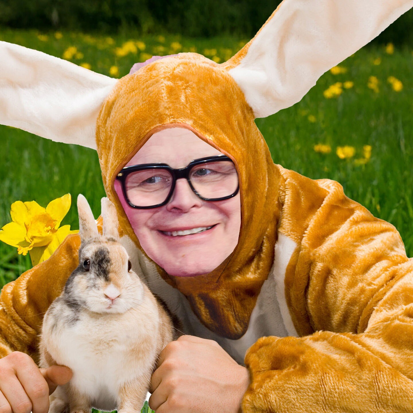 Häschen Herbie hüpf! episode artwork