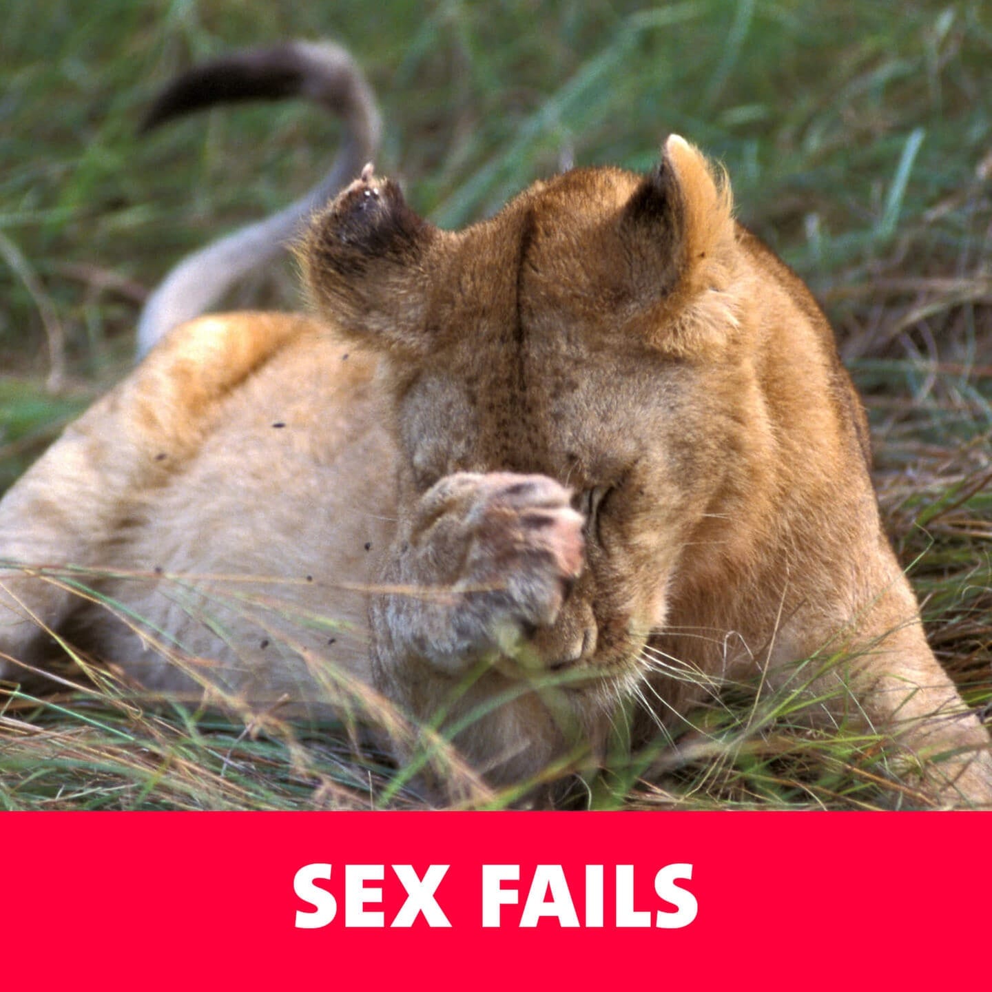 Sex Fails episode artwork