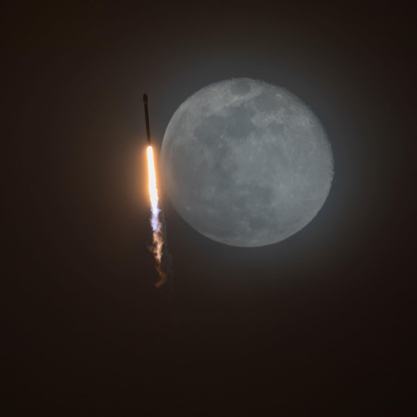 Houston, Elon Musk will doch erst auf den Mond episode artwork