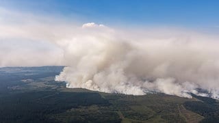Die Warnapp meldet plötzlich Brandgerucht. Hier zu sehen: Eine große Rauchwand ist von Deutschland in Richtung des großen Waldbrands in Belgien im Gebiet Hohes Venn zu sehen.