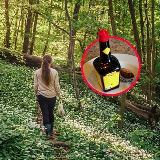 Eine Frau geht im Wald spazieren (Symbolbild). Ab und zu kommt es bei Spaziergängen im Wald vor, dass einem der vertraute Geruch von Maggi beziehungsweise Maggikraut oder Liebstöckel in die Nase steigt. Dann ist Vorsicht geboten! Es könnte sich ein Wildschwein in der Nähe aufhalten. Bertram Quadt aus dem SWR3 Team klärt euch auf.