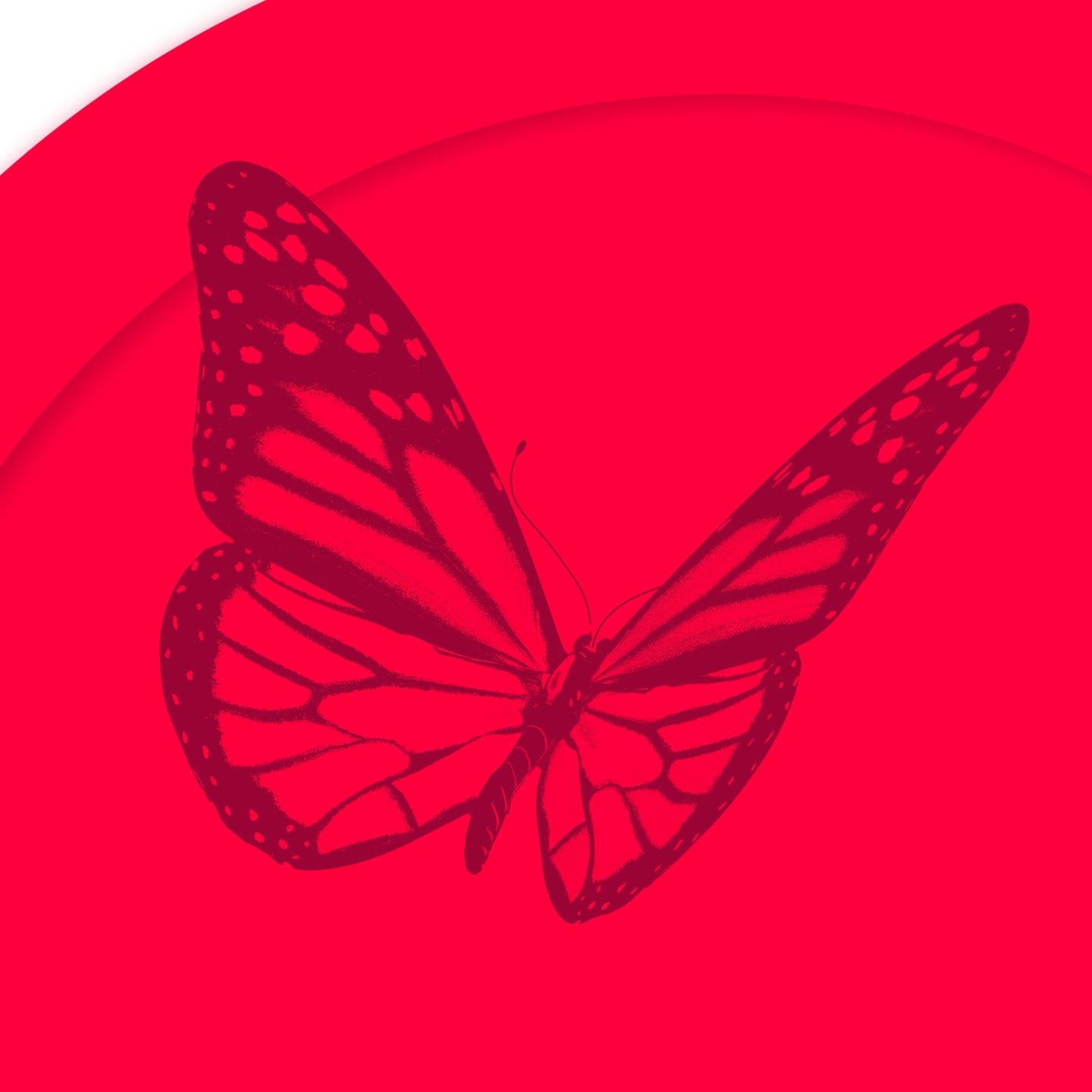Homo-, hetero-, bisexuell oder was? – Andys Schmetterling episode artwork