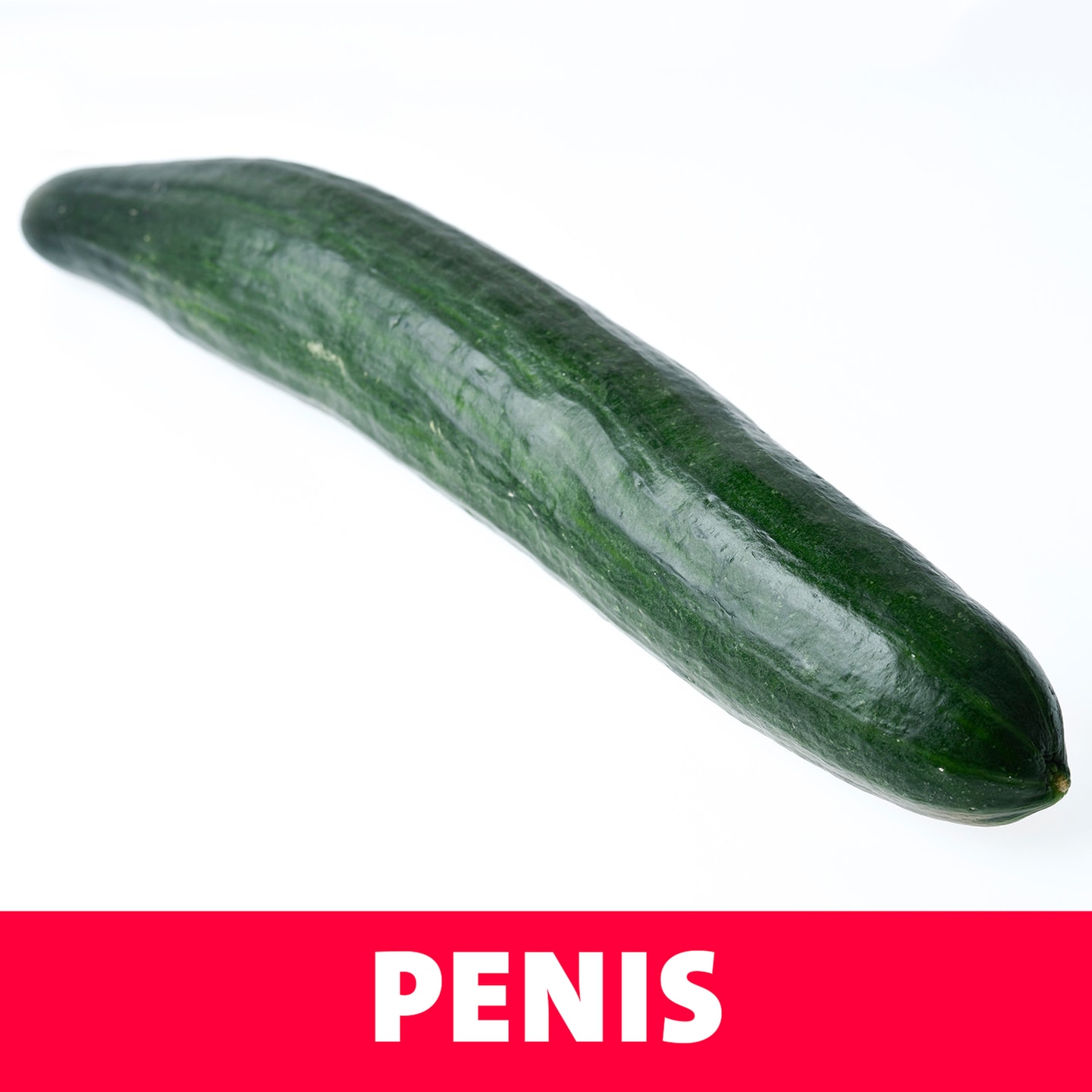 Penis – PENIS ... hihihi episode artwork