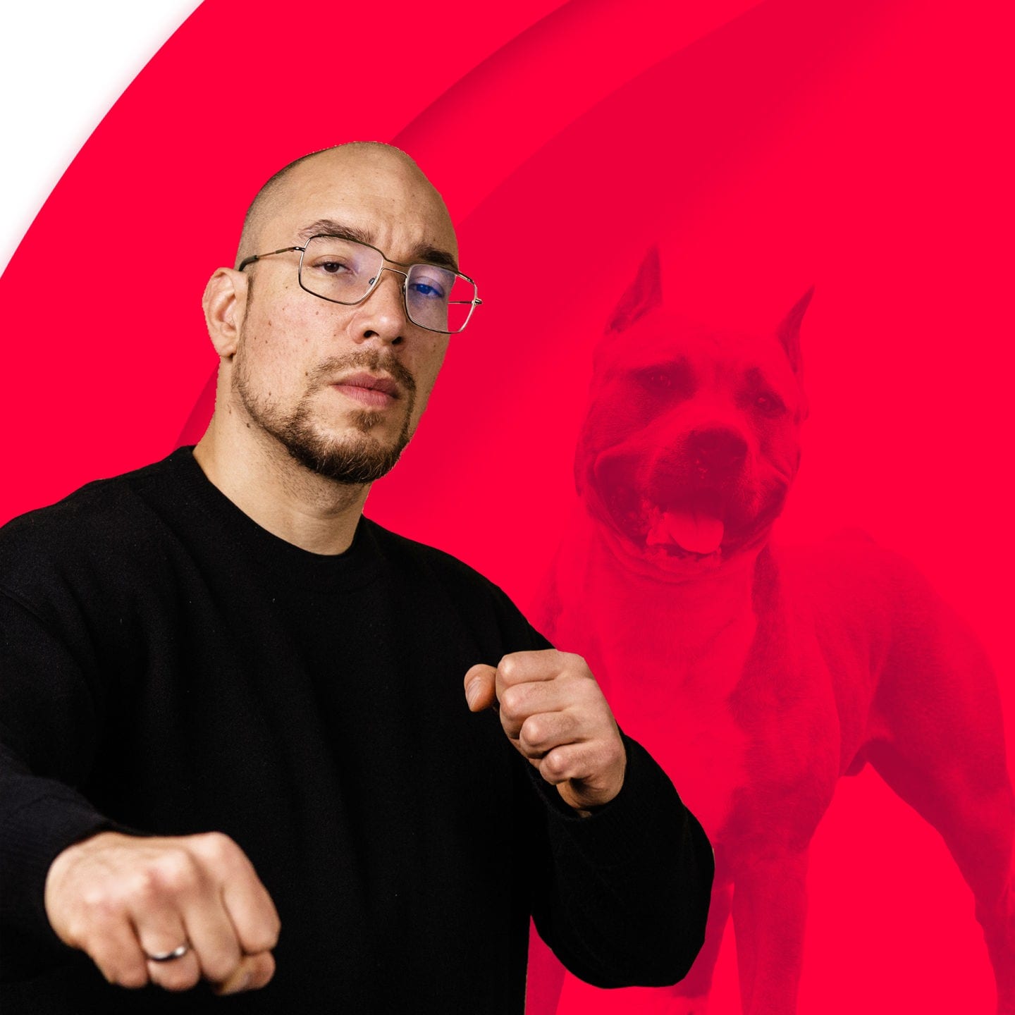 Bis zum Tod – Maximilians Hund episode artwork