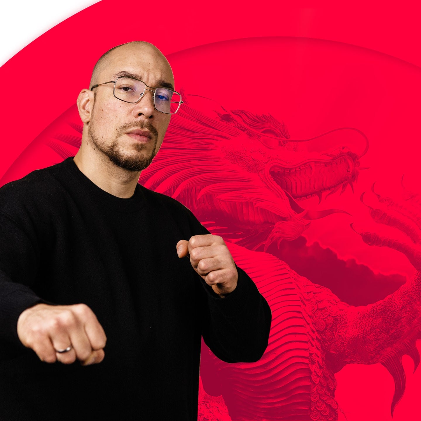 Das organisierte Verbrechen – Maximilians Drache episode artwork