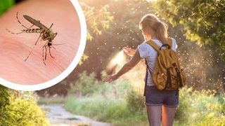 Eine Frau steht auf einem Waldweg und sprüht sich mit Anti-Mücken-Spray ein, um sich gegen Mückenstiche zu wehren. Links ist eine Stechmücke abgebildet.