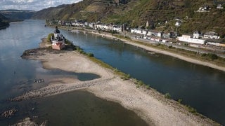 Trotz Niedrigwasser bleibt Baden im Rhein laut DLRG lebensgefährlich.