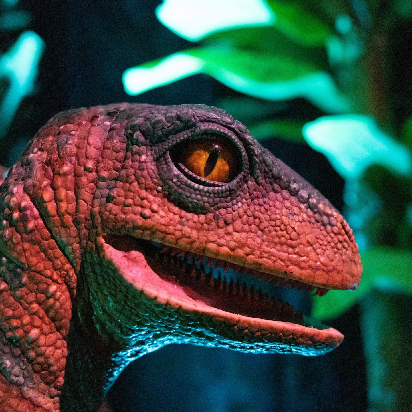Die Tierdocs: Velociraptor stört beim Liebesspiel episode artwork