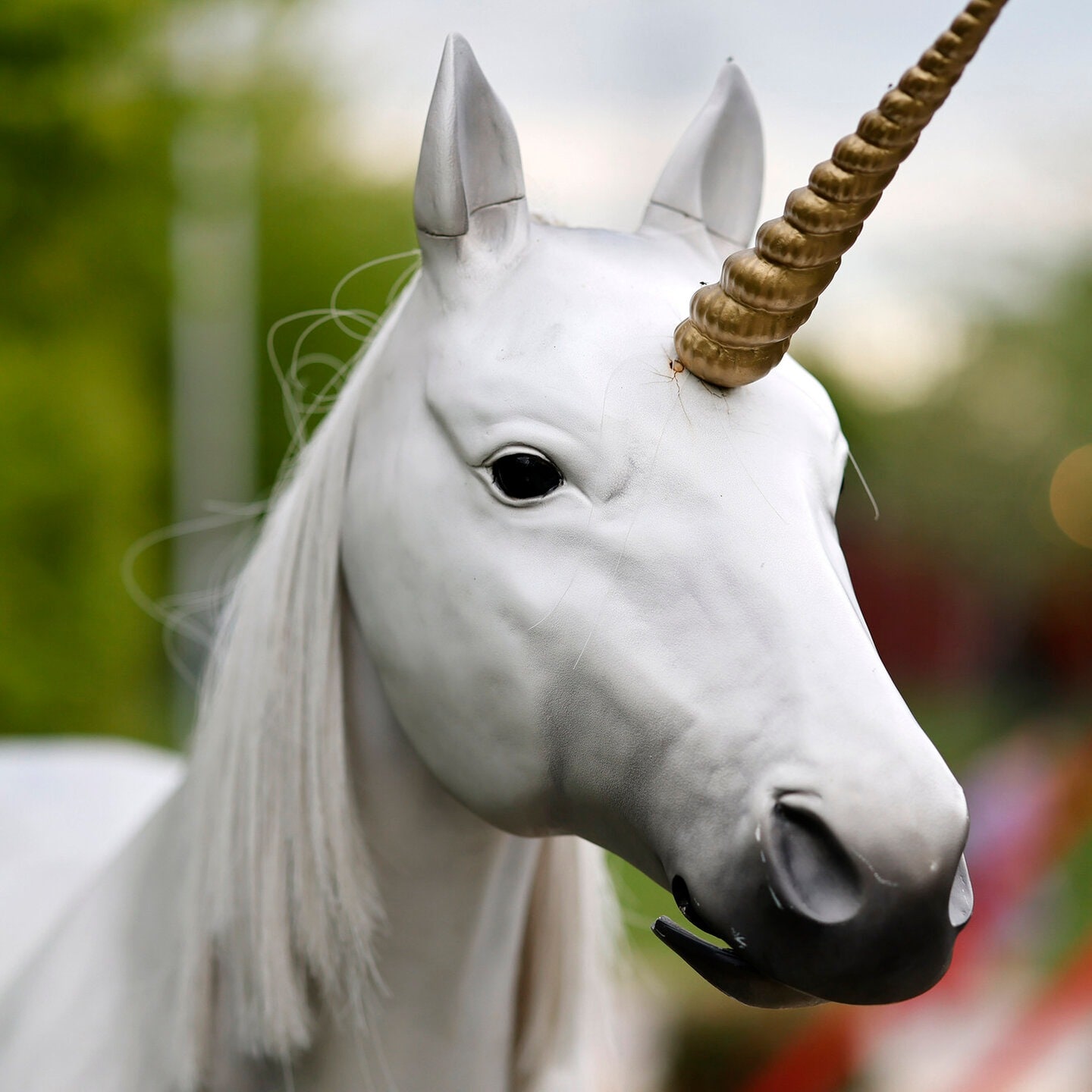 Die Tierdocs: Einhorn hört schlecht episode artwork