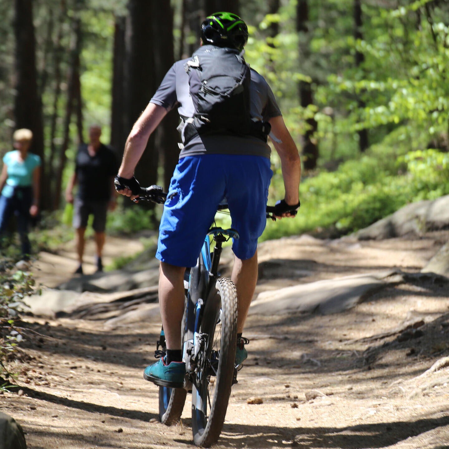 Mountainbiker-Streichelzoo episode artwork