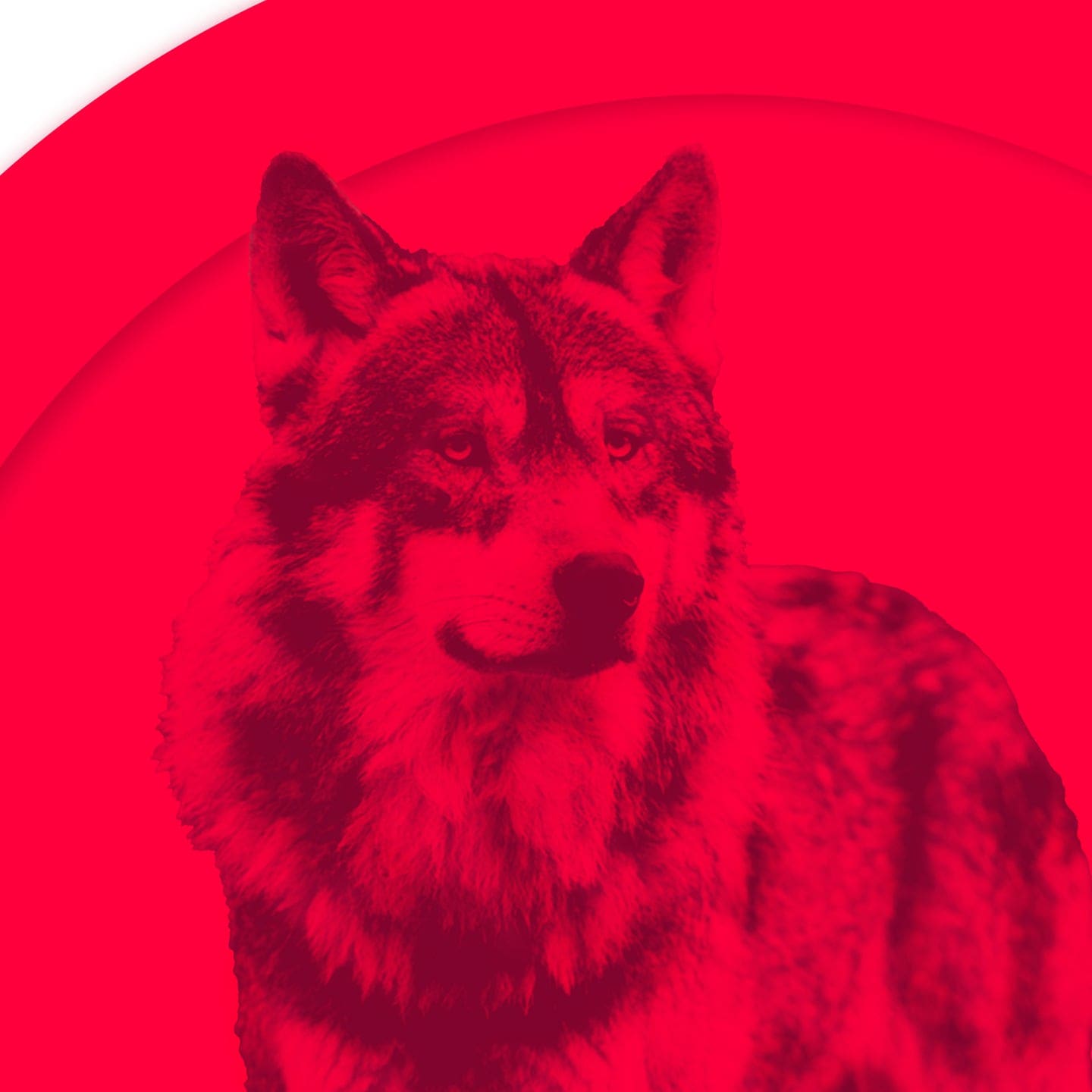 Fehldiagnose ADHS – Jessis Wolf episode artwork