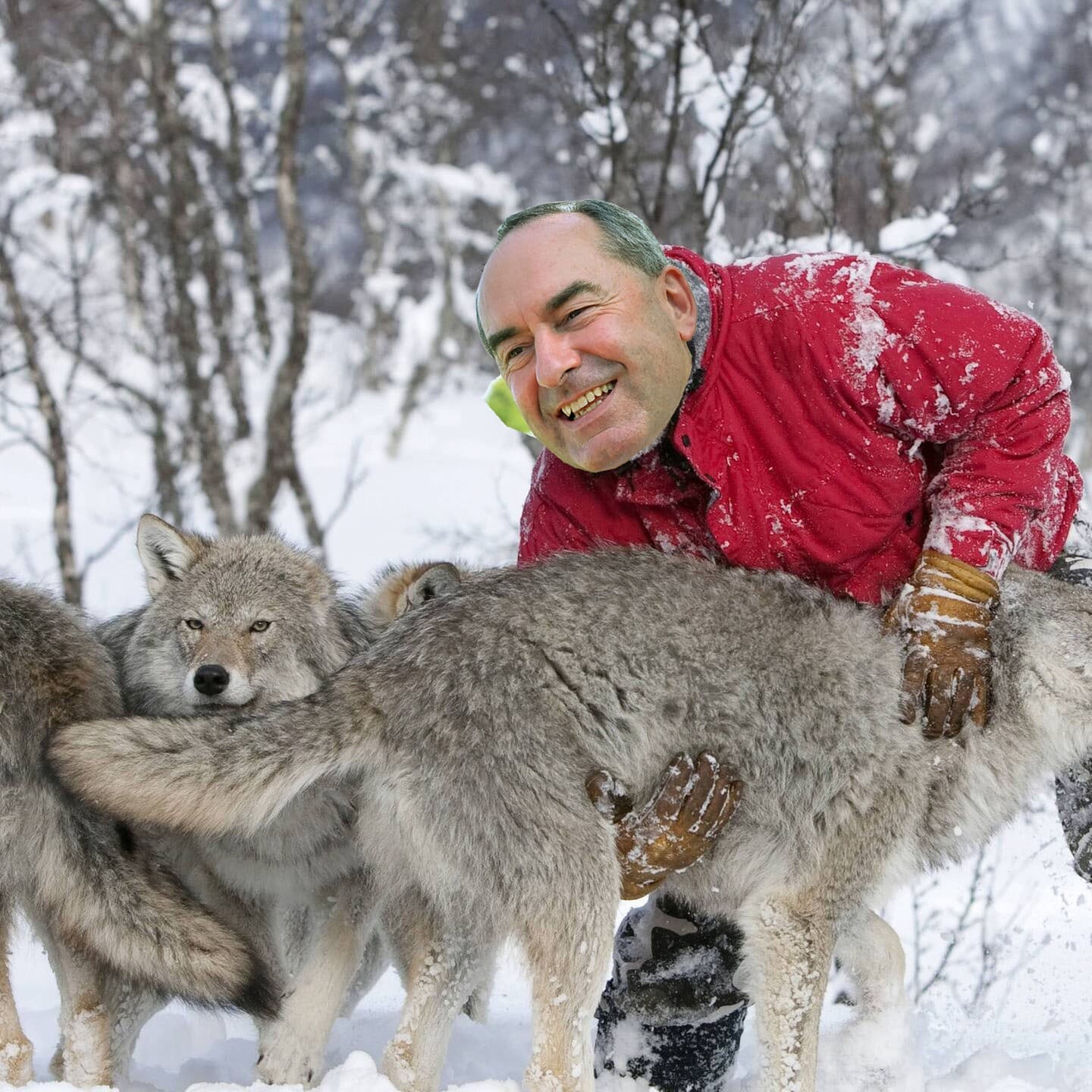 Aiwangers Wolfsrechnung episode artwork