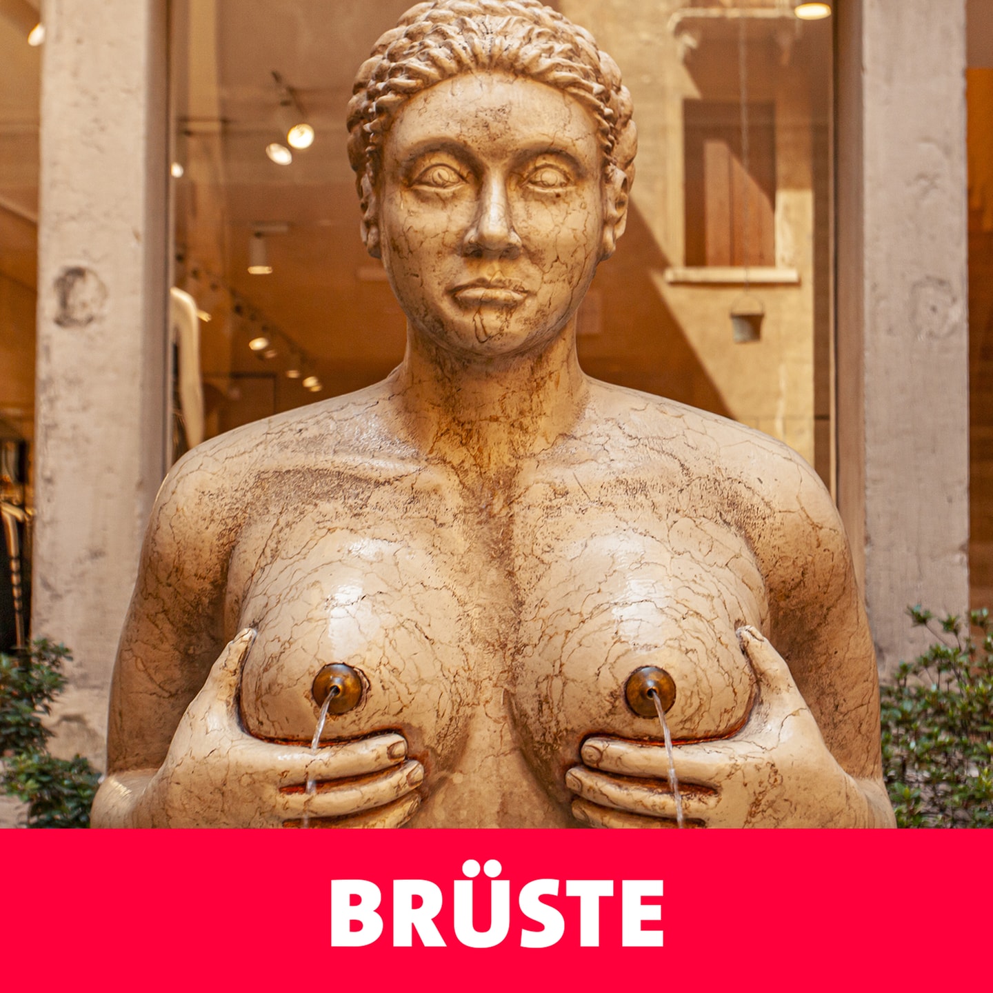 Brüste – jeder kennt sie, jeder mag sie. episode artwork